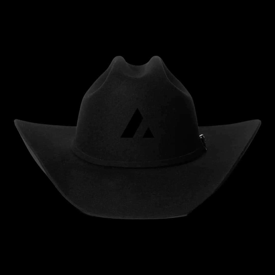 Acme Cowboy Hat